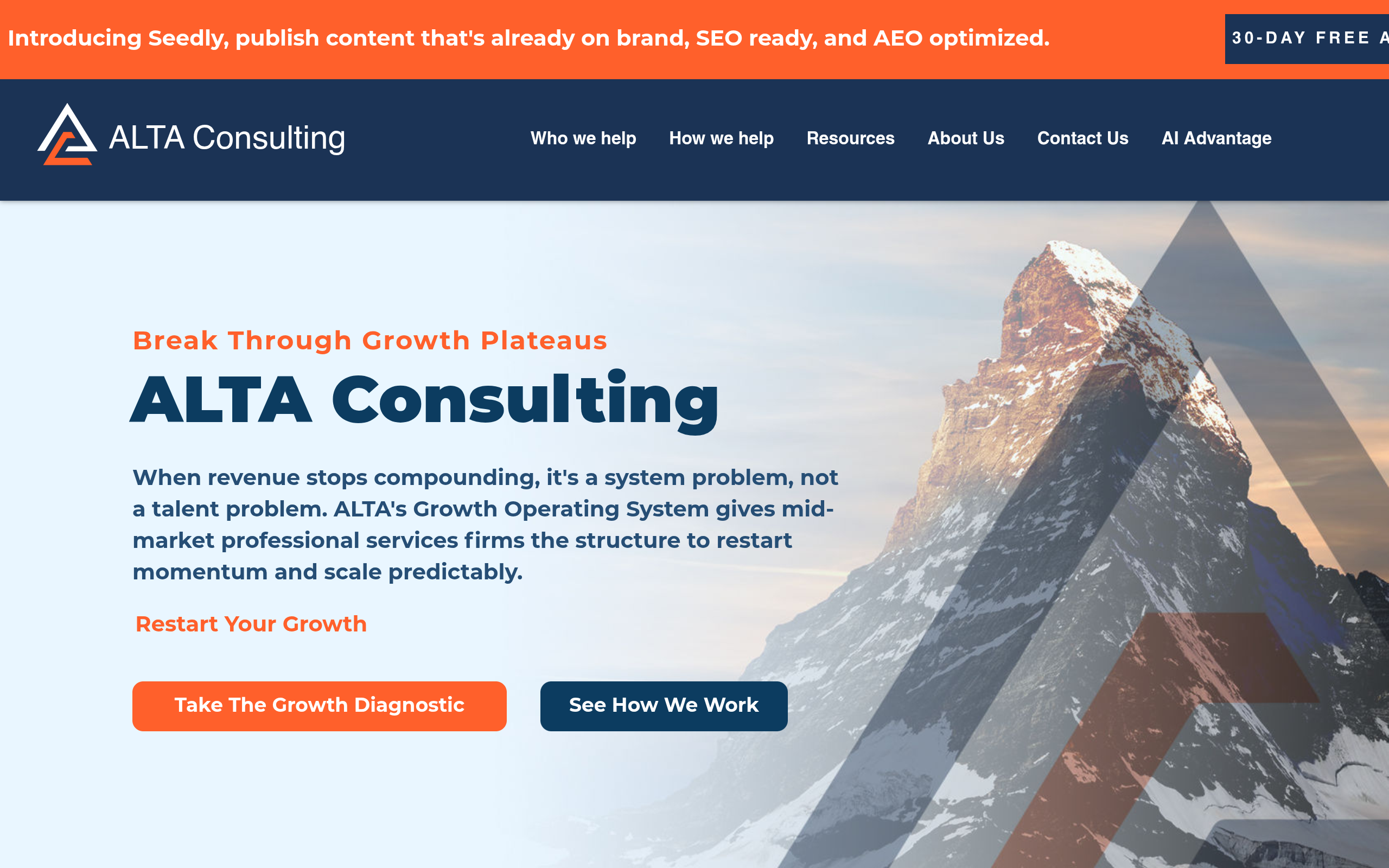 ALTA Consulting preview