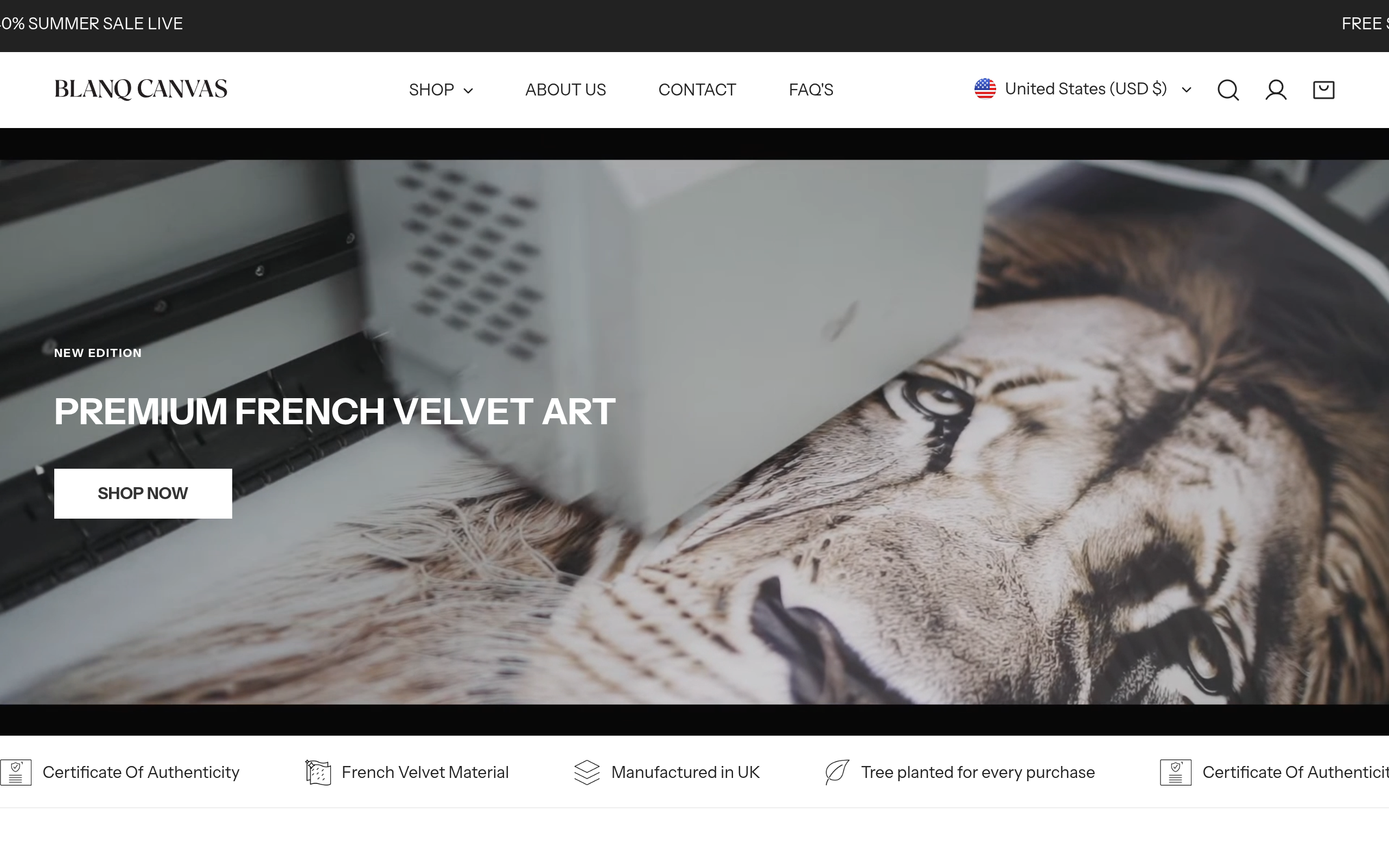 Blanq Canvas preview