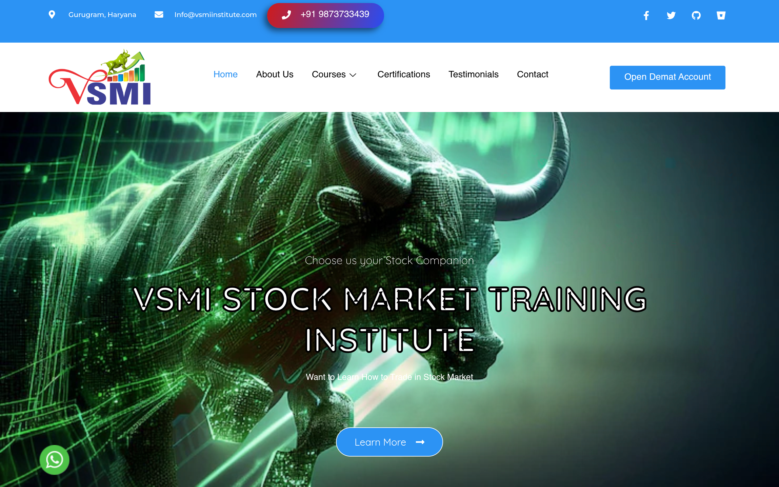 VSMI Institute preview